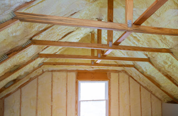 Types of Insulation We Offer in SC